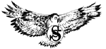 Falcon with Sokol emblem